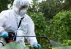 Por el momento se registran 5 casos de dengue en Coronel Rosales