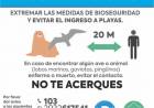 El Municipio recomienda qué hacer en caso de encontrar animales afectados por gripe aviar en la costa 