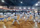 Punta Alta fue sede un histórico encuentro regional de Karate
