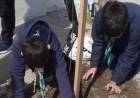 El Grupo Scout Sagrado Corazón realizó una plantación de árboles