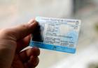 Licencia de conducir: así se renueva el carnet profesional tras los cambios en la Ley de tránsito