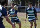 Rugby: Punta Alta Rugby Club afronta una nueva fecha del Torneo de la URS