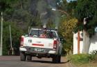 Comenzaron las tareas de fumigación en distintos sectores del distrito