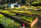 El vivero municipal de Pehuen Co es una pausa verde para este verano