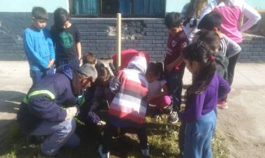 Por el “Día nacional del árbol” el Municipio planta ejemplares en distintos puntos de la ciudad 
