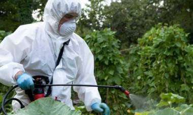 Por el momento se registran 5 casos de dengue en Coronel Rosales