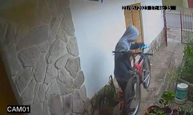 Un delincuente robó una bicicleta en el barrio Albatros XIV y fue filmado