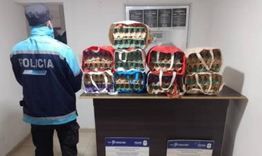 Detuvieron a una mujer con 36 maples de huevos robados en su lugar de trabajo