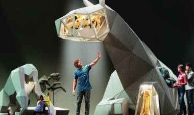 Las huellas de Pehuen Co, en el Museo de Ciencias de Bruselas