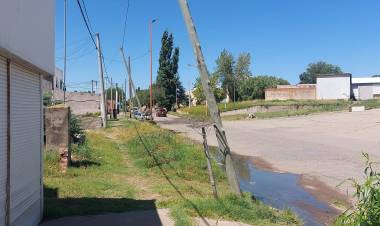 Desde Bien Común presentaron un proyecto de eliminación de postes de madera