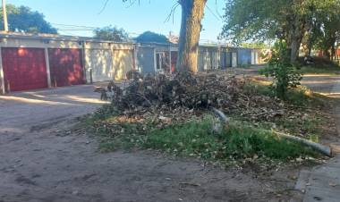 Vecinos de ATEPAM 3 detallan el abandono que sufre el barrio