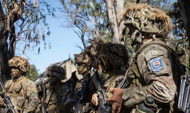 Campaña del Batallón de Infantería de Marina Nº 2