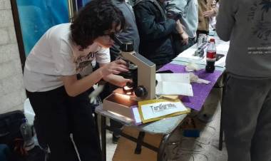 Este martes se realizará una nueva edición de la Feria Distrital de Educación, Artes, Ciencias y Tecnología