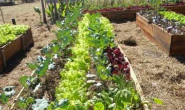 Se realizan gestiones para ampliar el desarrollo de Prohuerta a nivel local