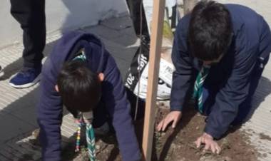 El Grupo Scout Sagrado Corazón realizó una plantación de árboles