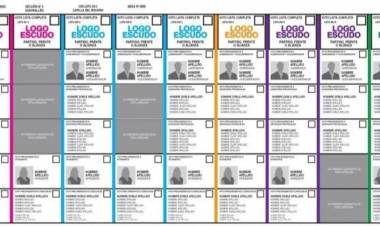 Oficializaron la forma de la Boleta Única de Papel que aprobó el Congreso