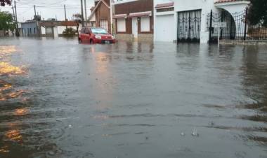 Asistieron a 240 familias y repartieron más de 400 colchones en Coronel Rosales