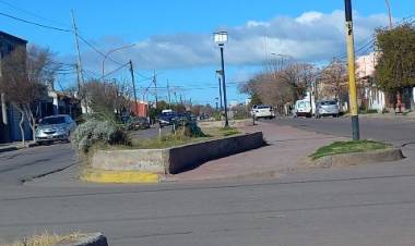Solicitan que se haga una restructuración en los canteros centrales de la Avenida Tucumán