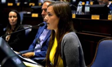 La diputada Gómez propuso una reforma y actualización del Código Procesal Civil y Comercial de la Provincia