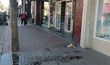 Continúan los desbordes cloacales en calle Irigoyen y los comerciantes no tienen una solución