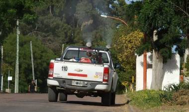 Cronograma de fumigación mes de noviembre en Coronel Rosales