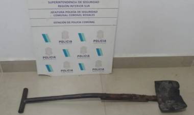 Detuvieron a un hombre por atacar a su hermana con una pala