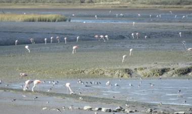Se celebrarán los 12 años de HAPIC