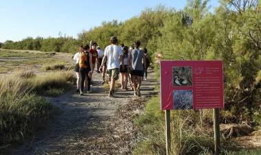 Llega la 17º edición de la Fiesta de los Humedales en Villa del Mar