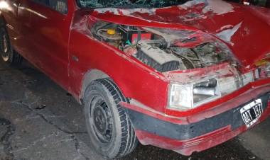 Un auto impactó con un caballo suelto en la ruta 249