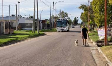Se presentó un proyecto que busca adaptar la frecuencia de la línea 319 que une Punta Alta con Bahía