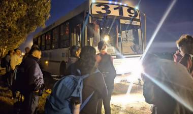 Ya son 4 los colectivos de la Línea 319 que se rompen en una semana