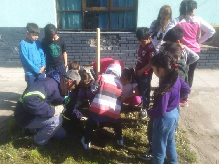 Por el “Día nacional del árbol” el Municipio planta ejemplares en distintos puntos de la ciudad 