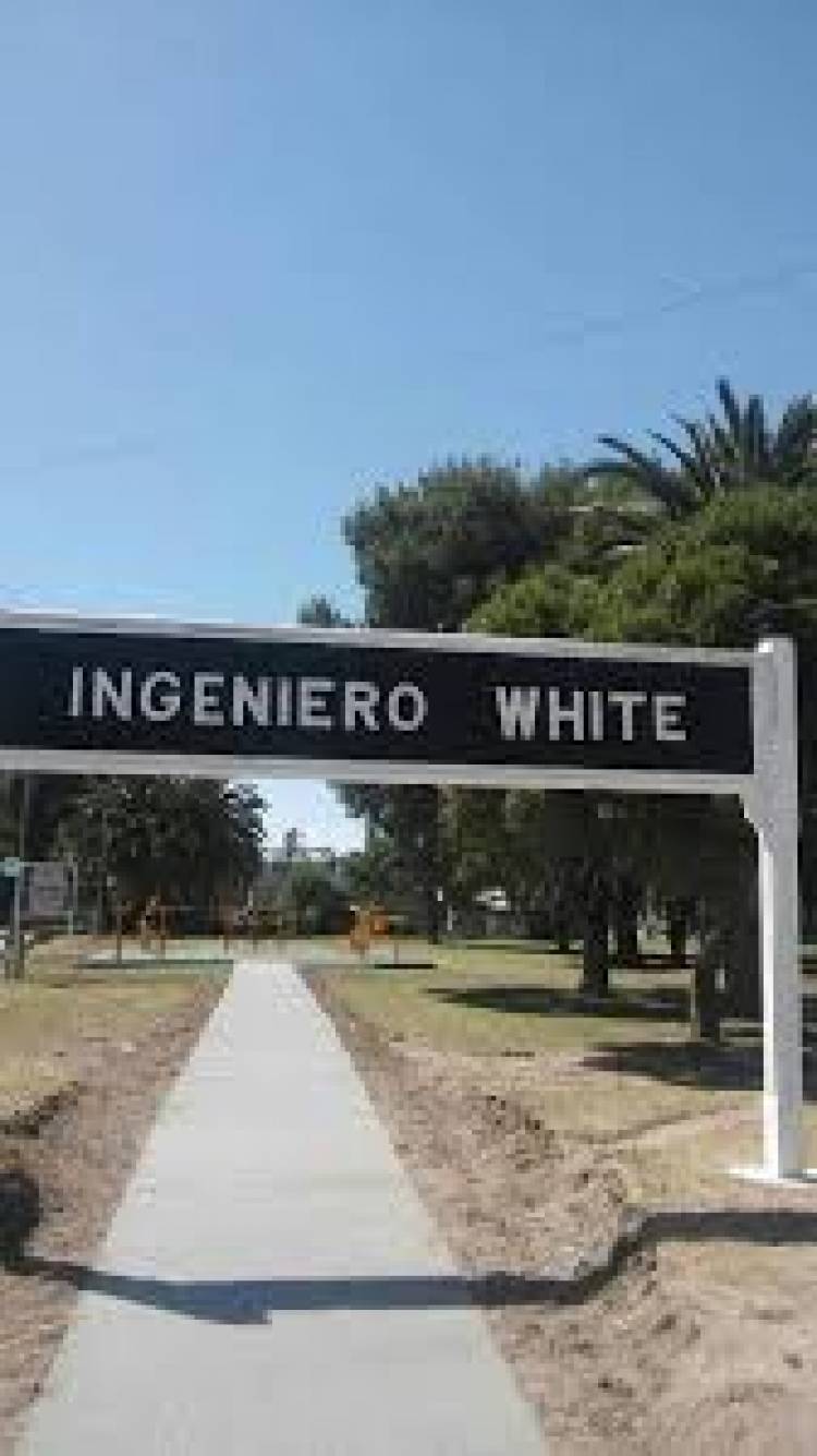 En Ingeniero White realizarán la instancia regional de Feria de Ciencias 2022