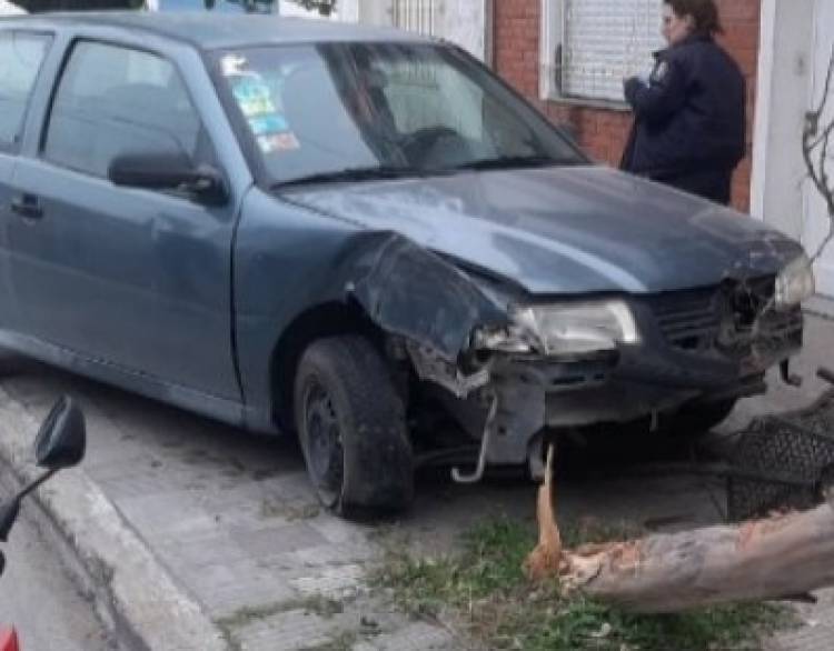 Un auto impactó contra un árbol