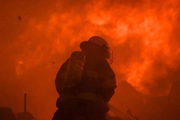 Incendio de un cañaveral en Villa Arias