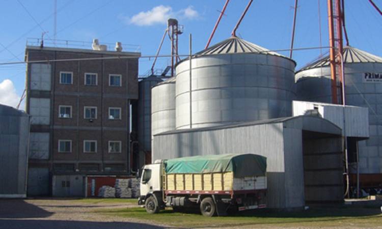 Pericia clave en el caso de los dos obreros que perdieron la mano en un accidente en Bajo Hondo