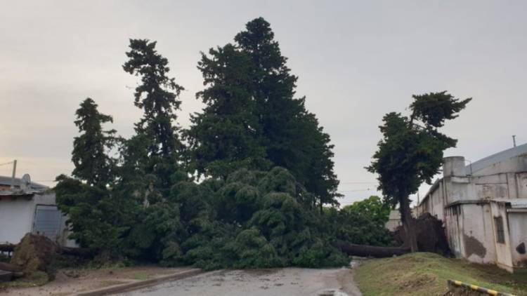A una semana de los destrozos, aún se sigue trabajando en la reconstrucción de Coronel Rosales