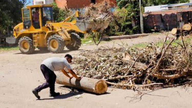 Se realizaron trabajos de limpieza en Zona Norte