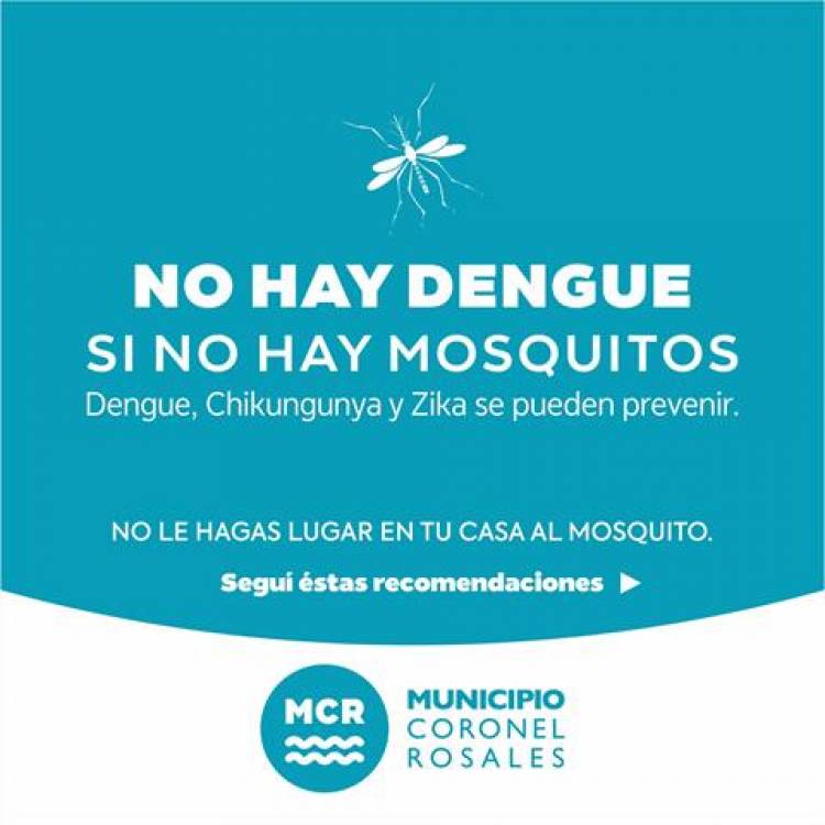 Medidas de prevención contra el Dengue