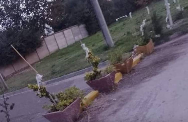 El Municipio retirará las macetas y adoquines que cortaban el tránsito en Avellaneda y 9 de julio