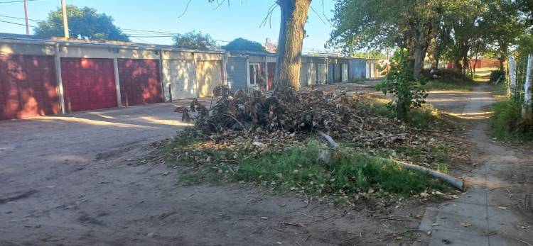 Vecinos de ATEPAM 3 detallan el abandono que sufre el barrio