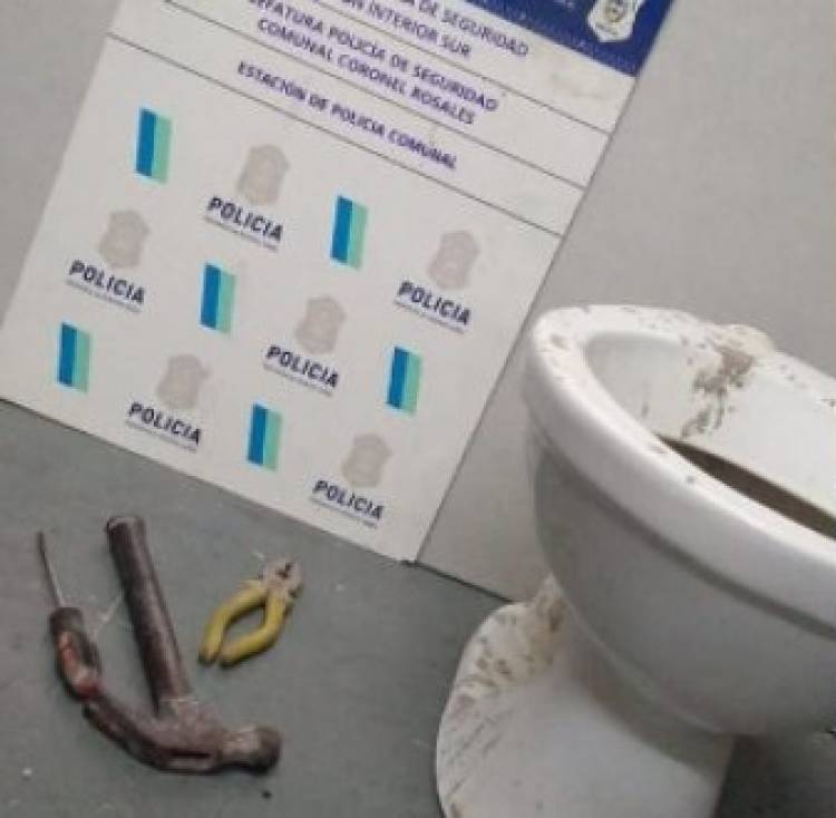 Un delincuente que se robaba un inodoro fue aprehendido 