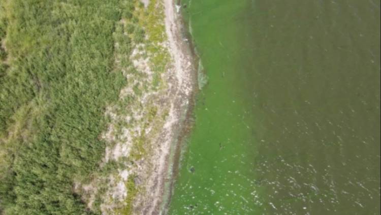 Cianobacterias en el dique: "Tenemos que garantizar agua de calidad en los hogares"