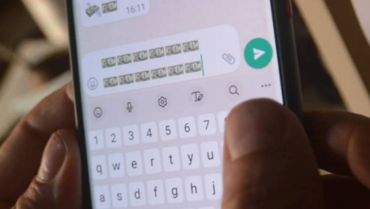 Se propone crear un programa para prevenir ciberdelitos 