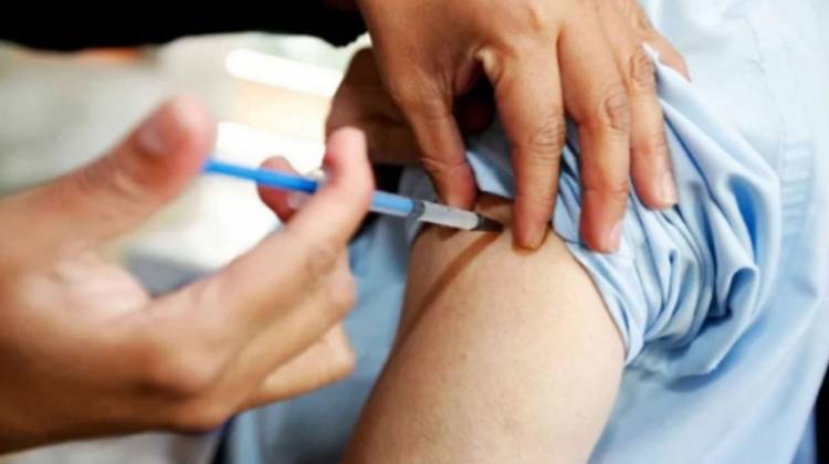 Vacunación antigripal: "Se superó la población objetivo" afirmó Pereyra