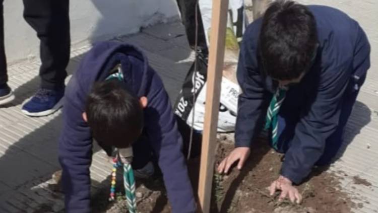 El Grupo Scout Sagrado Corazón realizó una plantación de árboles