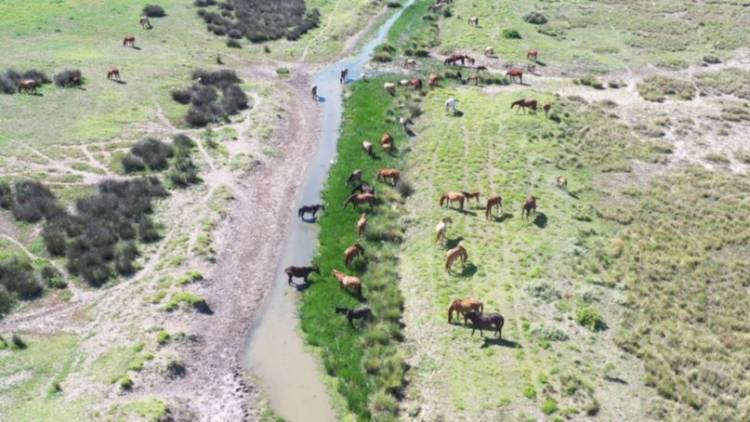 Se hizo un diagnóstico sobre los riesgos de los canales aliviadores