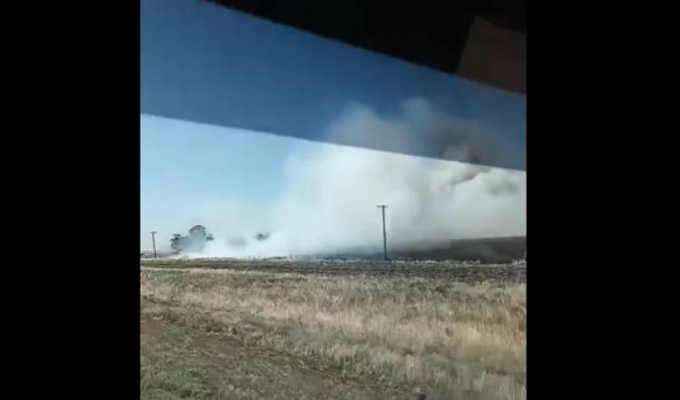 Bomberos de Punta Alta, Pehuen Co y Dorrego sofocaron un incendio forestal en la zona de Las Oscuras 