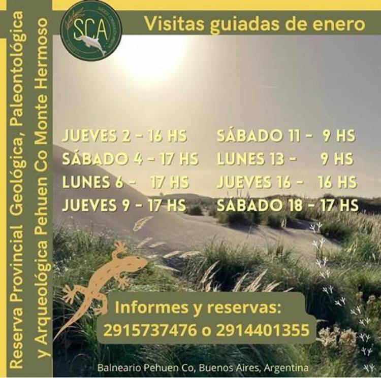 Se realizan visitas guiadas a la Reserva Pehuen Co - Monte Hermoso