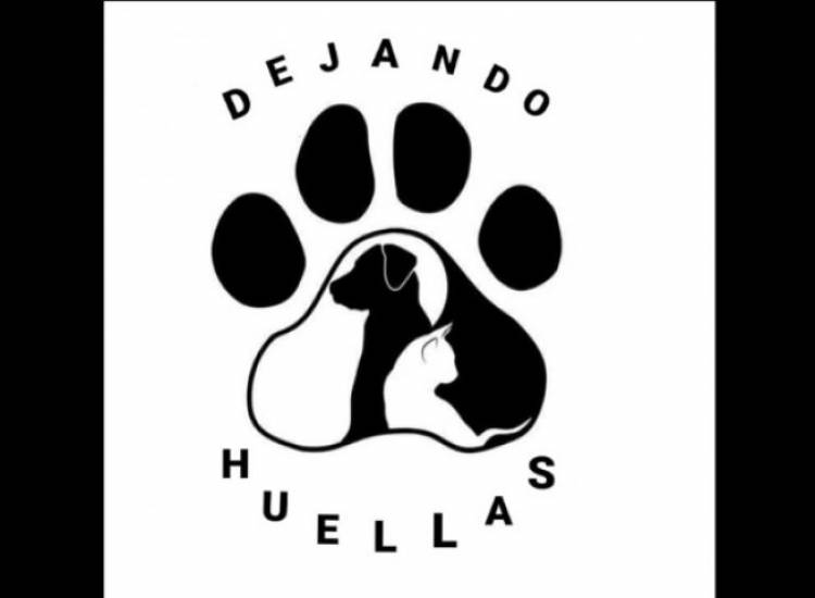 Se realizó una donación de bolsas de alimento a la agrupación proteccionista “Dejando Huellas”